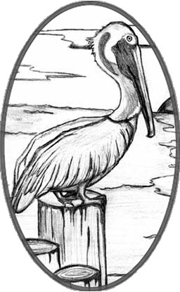 Pelican on a Post